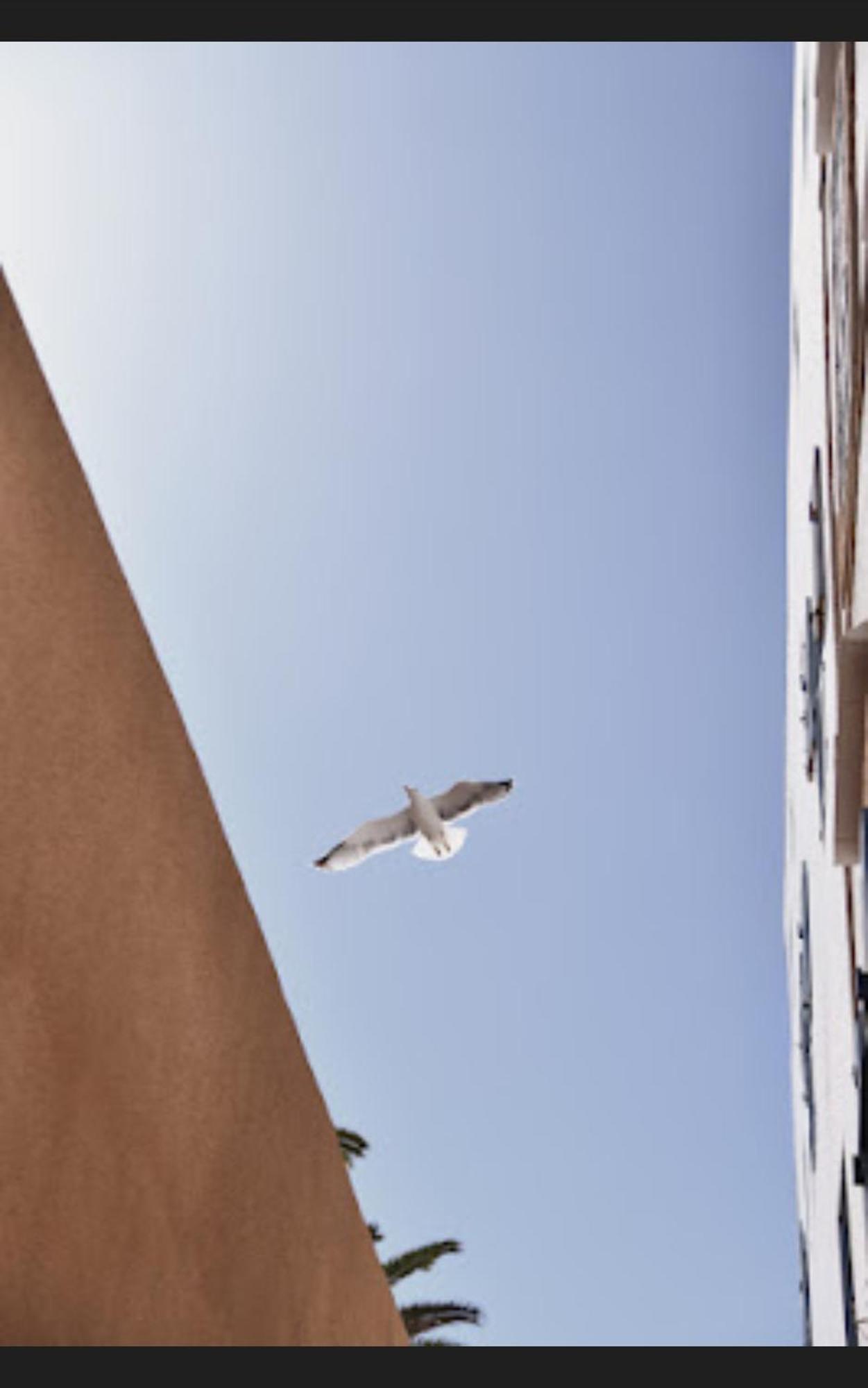 Loft Incroyable En Medina Apartment Essaouira Exterior foto